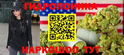 шишки Дубна