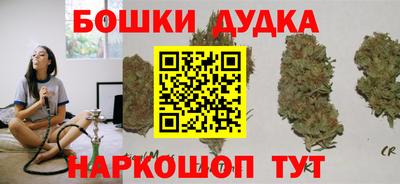 шишки Дубна