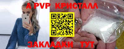 шишки Дубна
